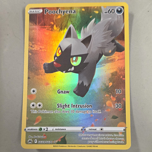 The pokémon company - pokémon, poochyena